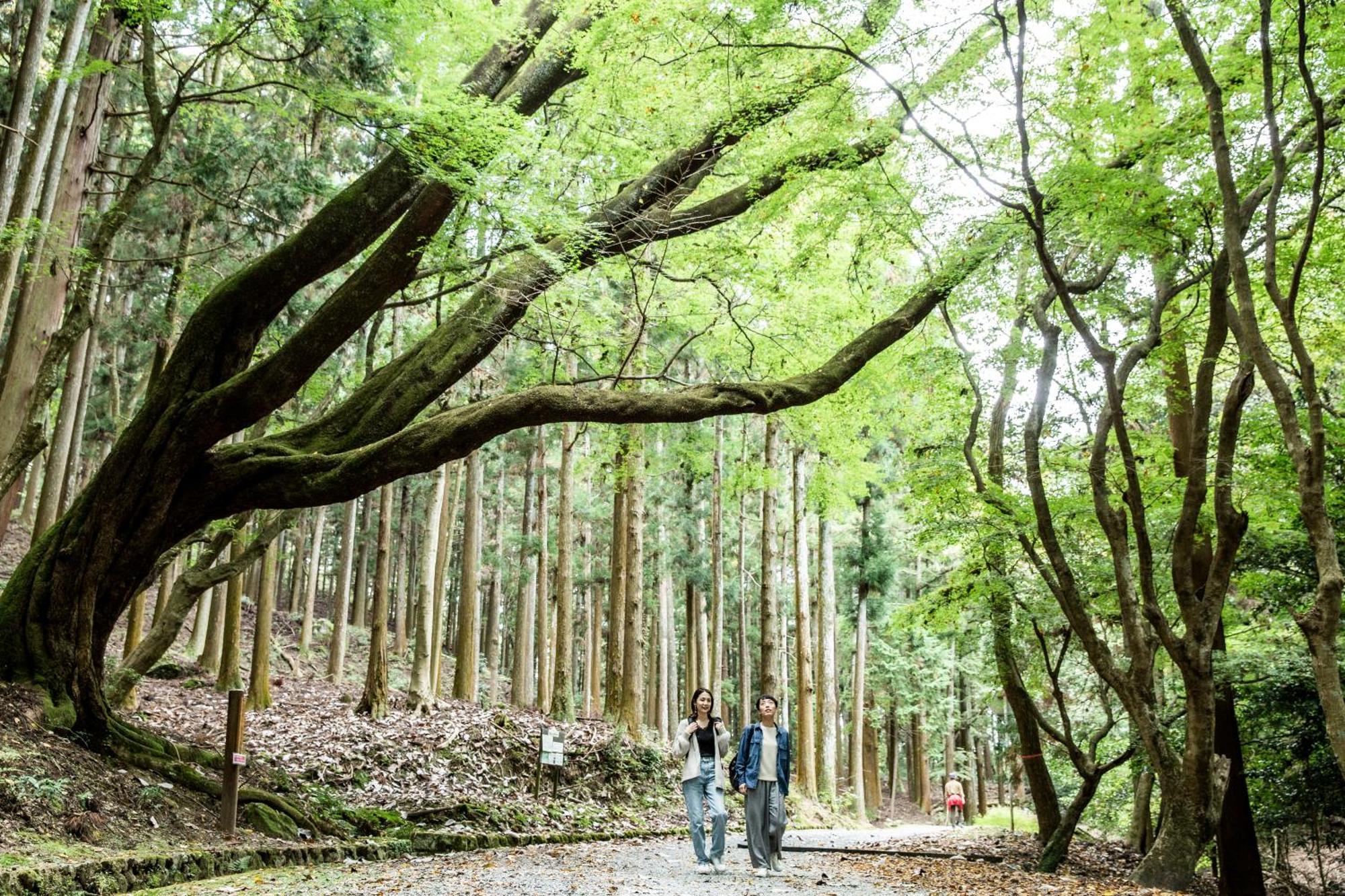 Ando Hotel Nara Wakakusayama -Dlight Life & Hotels- Exteriör bild